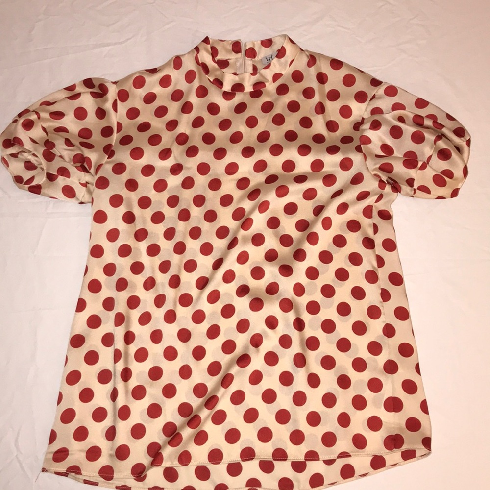 Zara Silk Flowy Polka Dot Blouse